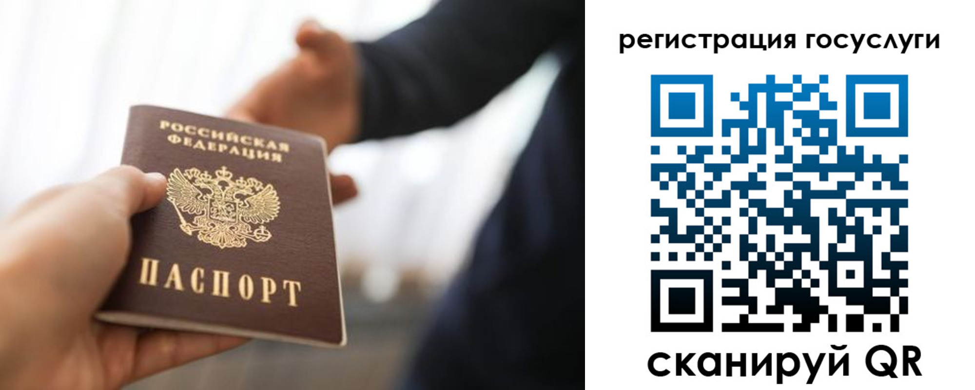 временная регистрация поиск в Владимирской области